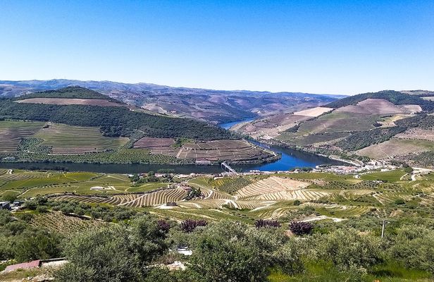 Full-day Douro Valley and wineries tour