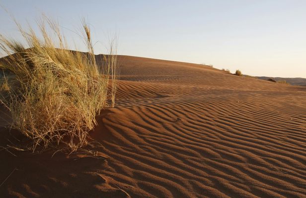 TUI Tours: sunset drive at Kalahari
