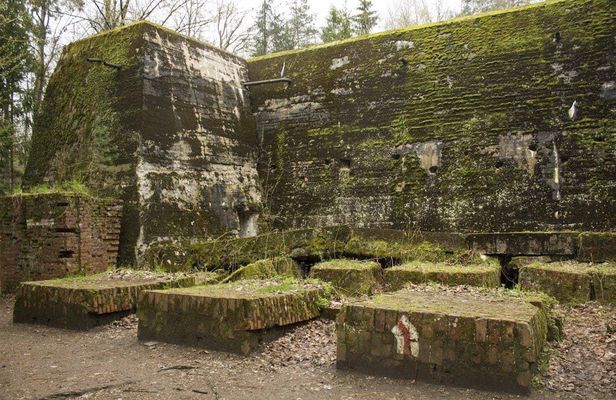 Wolf's Lair and Swieta Lipka small-group tour with lunch from Warsaw