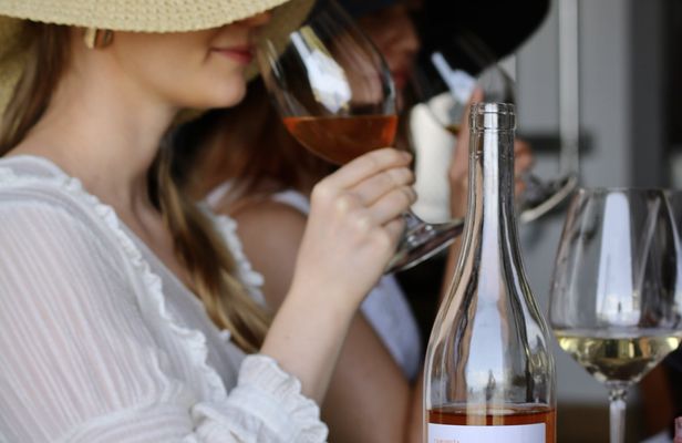 Visit to the Di Giovanna winery with tasting of three wines