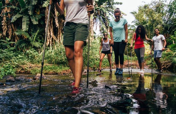 Mauritius waterfall trekking at Bel Ombre Nature Reserve