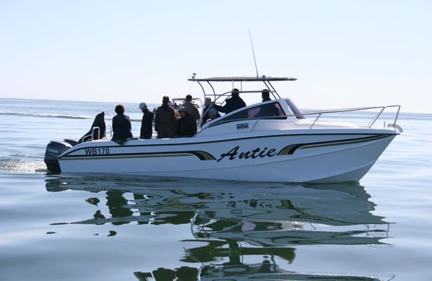 TUI Tours: marine cruise at Walvis Bay in Namibia