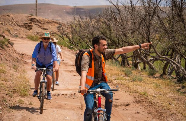 Bike tour in Marrakech's palmgroove with a local guide