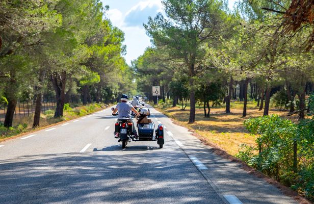 Side-car tour of the Luberon vineyards