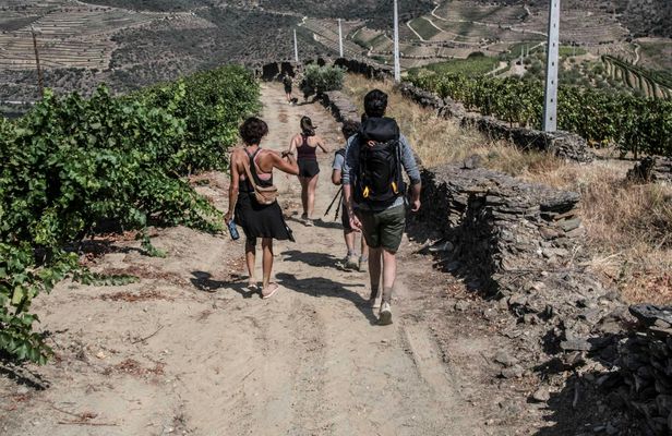 Douro Valley hiking tour