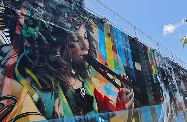 Best of Wynwood street art walking tour