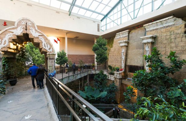 Bird Kingdom admission tickets