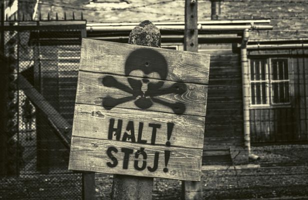 Krakow and Auschwitz Small Group Tour from Warsaw with Pick-up and Lunch