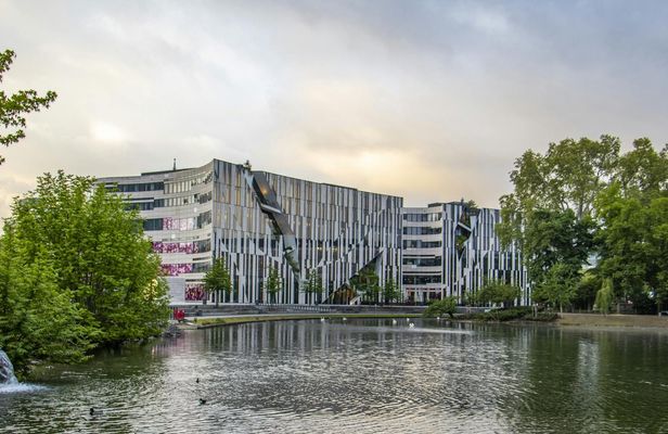 Instagram tour of Düsseldorf with a private local guide