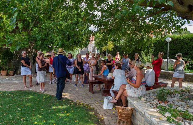 Wine and olive oil tasting experience in Ražnjevića Dvori