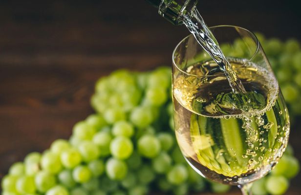 Wine and cheese pairing tasting in Chablis