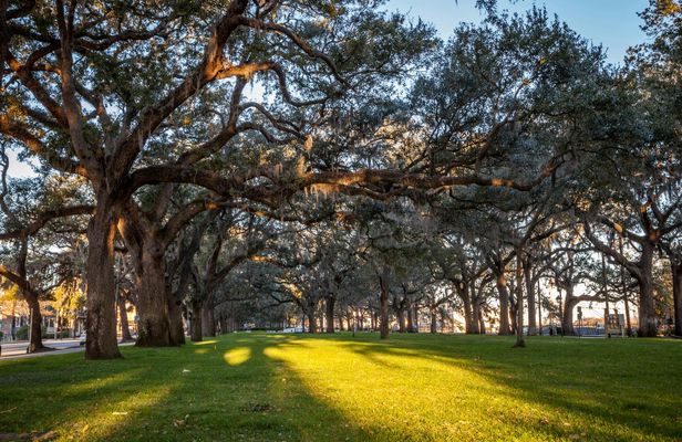Historical Savannah Self-Guided Walking Tour Bundle