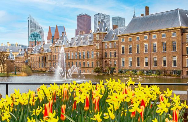 Behind the scenes of the royal city of Hague guided tour