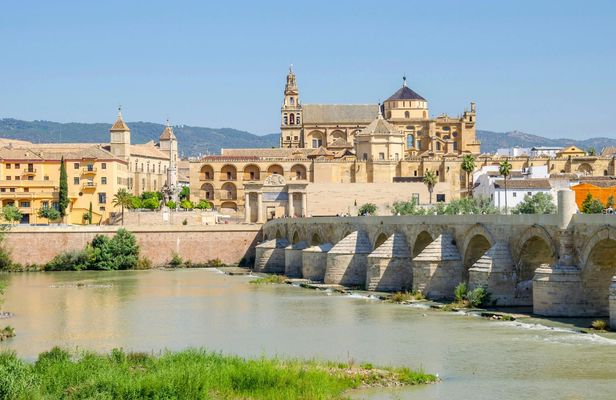 Cordoba Mosque-Cathedral adult entrance ticket with audio tour