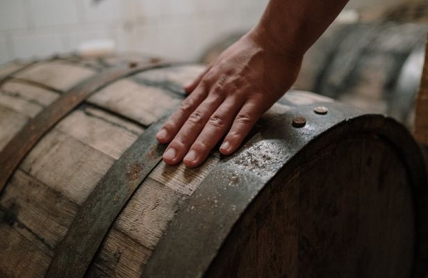 Vino Cotto wine cellar experience with wine tasting
