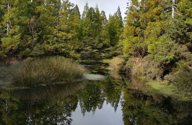 Terceira Island walking trails tour