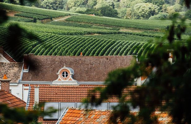 Private guided tour of the Canard Duchêne cellars