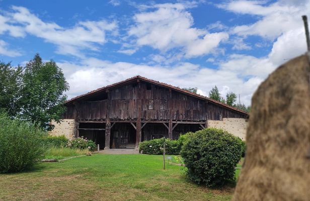 Full-day tour from Bilbao to discover the Basque rural culture