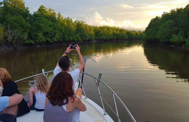 Santubong wildlife guided cruise