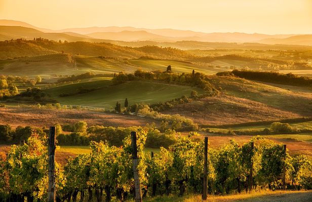 E-Vespa tour at sunset with dinner in Chianti countryside