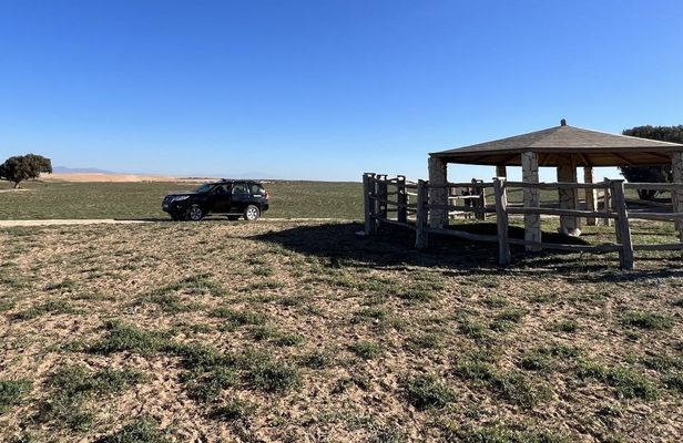 Tour on a 4X4 vehicle to Souss Massa National Park and Tiznit