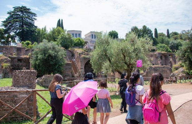 Gladiator tour of the Colosseum for kids and family