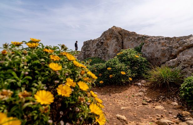 4x4 off-road half-day guided tour with wine tasting from Albufeira