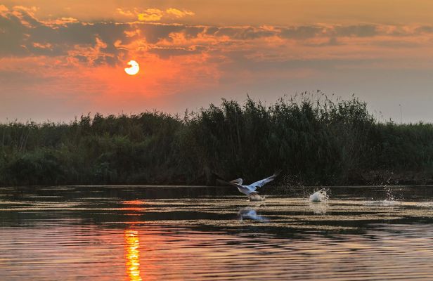 River Cruise Collection: Cruising the Danube Delta