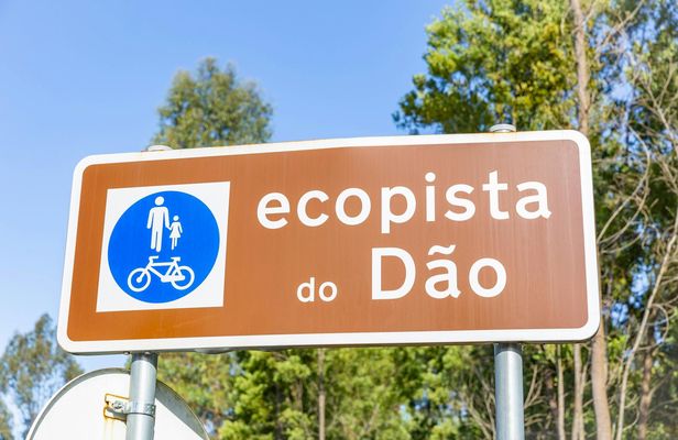 Ecopista do Dão full-day bike tour from Coimbra