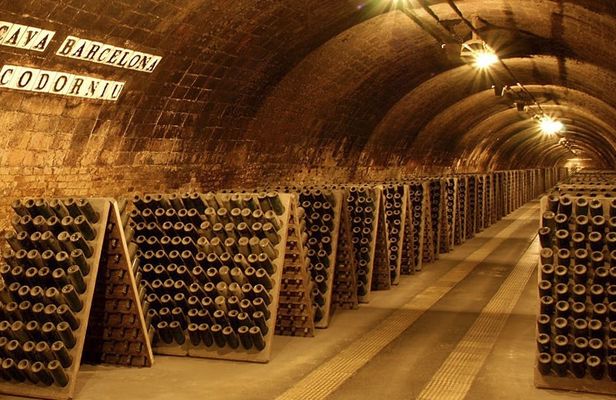 Casa Codorníu guided tour with 2 cava tasting and lunch
