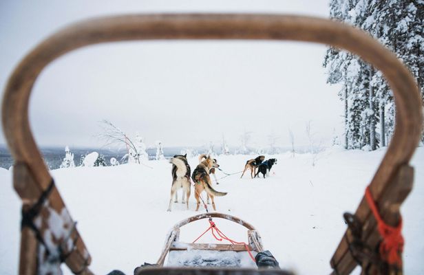Long Husky trail through the Arctic Circle