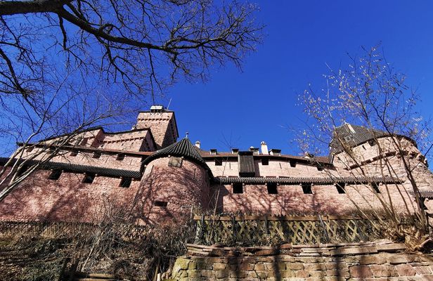 Alsace villages full day tour with wine tasting