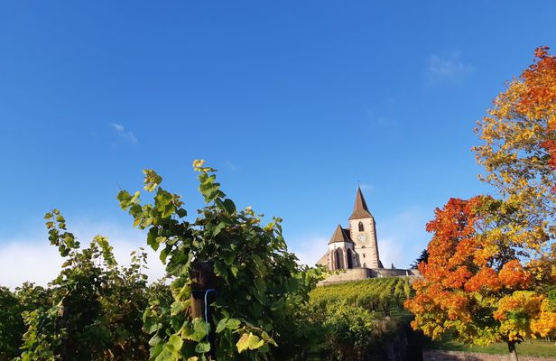 Half-day afternoon tour of Hunawihr, Riquewihr and wine tasting