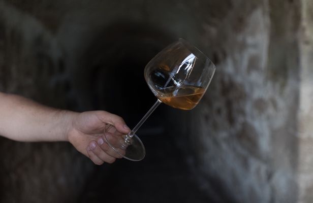 1-hour guided tour of the Orsini Fortress winery with final tasting