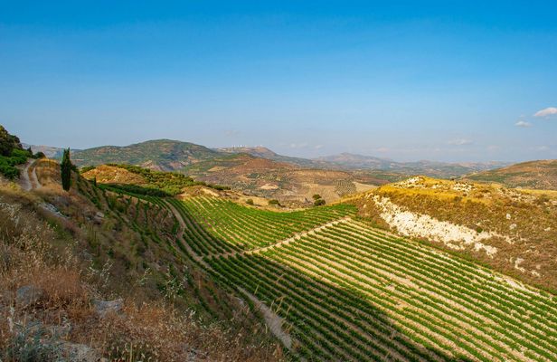 Private heart of Crete tour and wine tasting