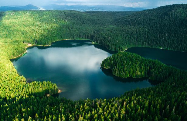 Biogradska Gora and Durmitor National Parks private tour from Podgorica