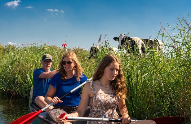 Guided canoe tour in the wetlands close to Amsterdam
