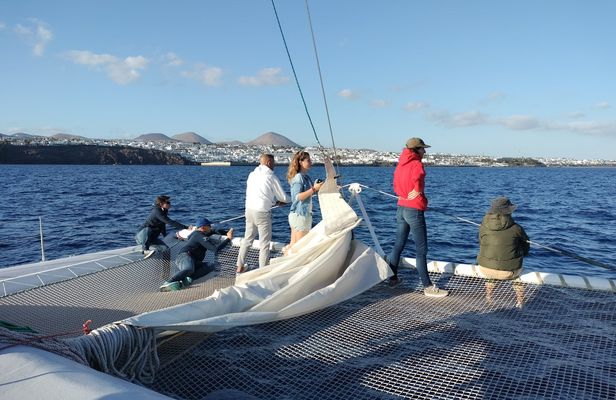 Lanzarote whale and dolphin watching experience