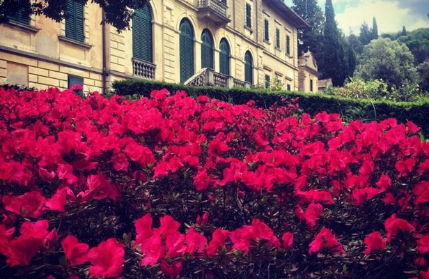 Visit to Tenuta Bossi dei Marchesi Gondi with 3 wine tastings