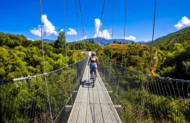 Valley of the Vines E-bike tour with transfer from Queenstown