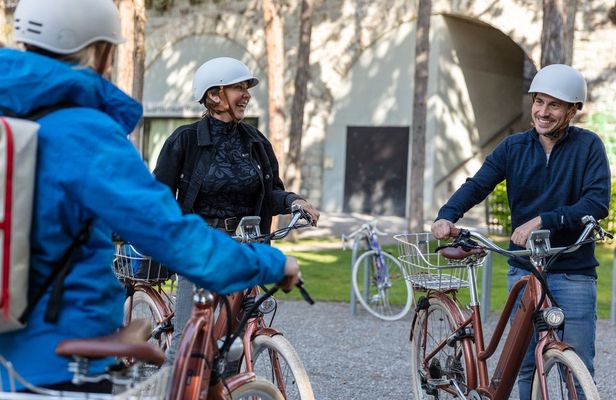 Guided e-bike tour in Zurich