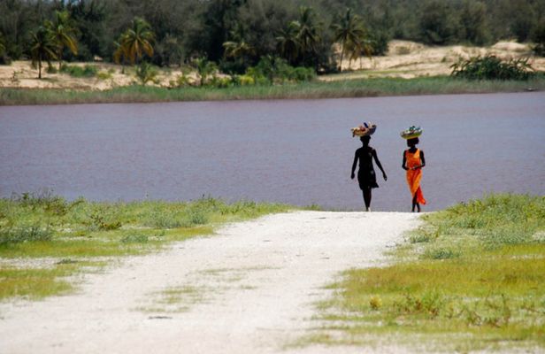 Day trip to Retba Lake and Tortoise Reserve from Pointe Sarène