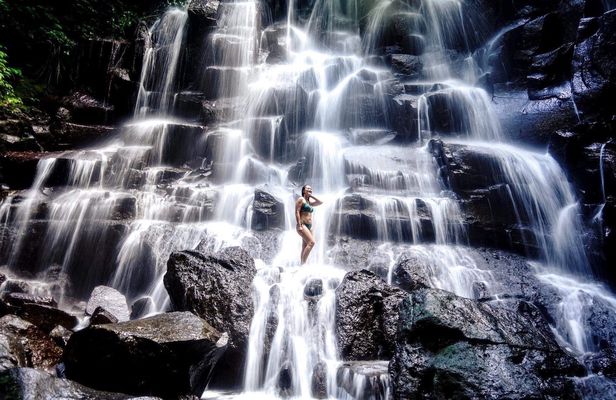 Private full-day best of Ubud tour with Jungle Swing