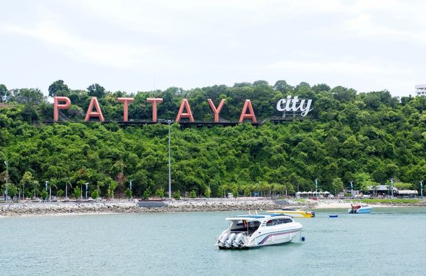 Guided Coral Islands, Koh Laan, Pattaya and Sanctuary of Truth tour