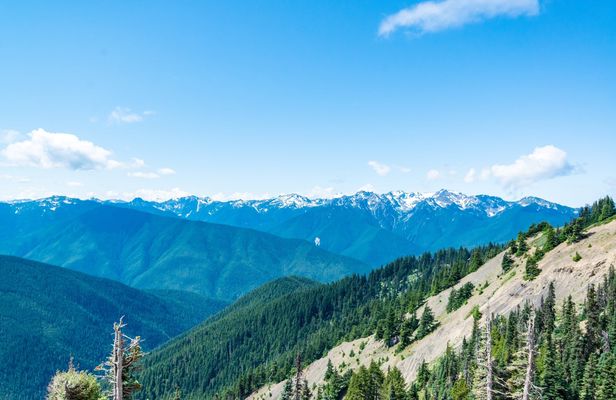 Olympic National Park full-day tour from Seattle
