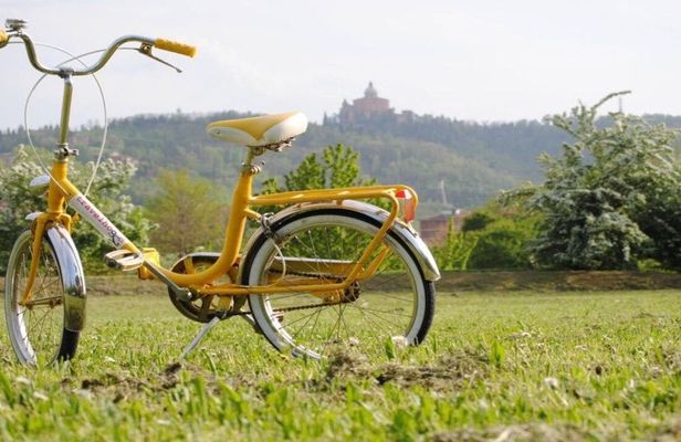 Bologna panoramic tour by bike