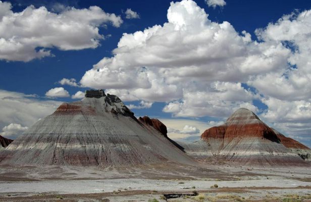 Self-guided driving audio tour of the Petrified Forest National Park