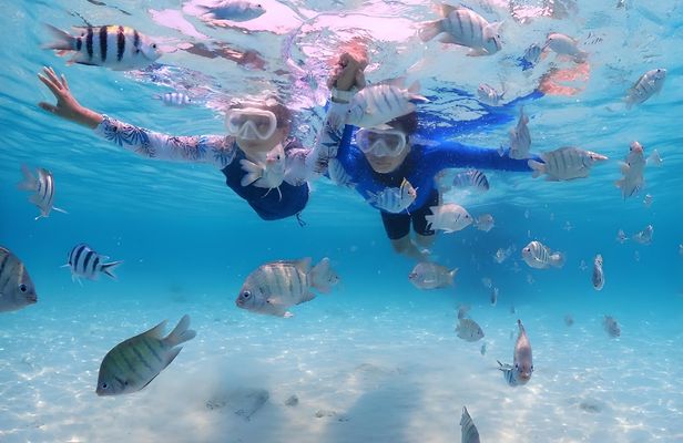 Blue Lagoon snorkeling and Tegenungan waterfall visit 1-day tour
