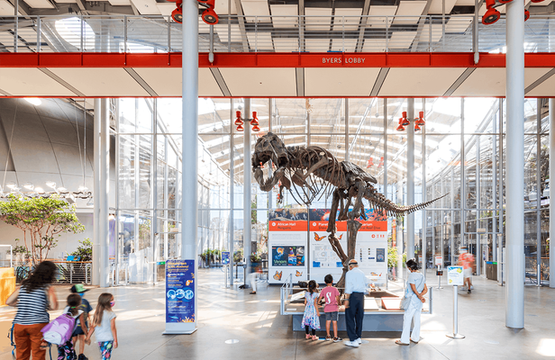 Explore California Academy of Sciences entrance tickets
