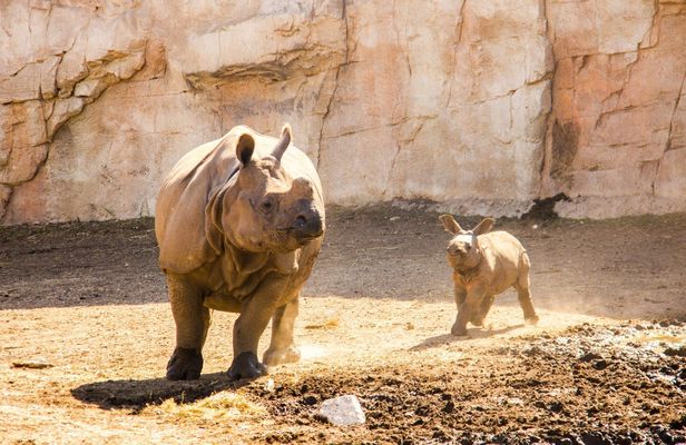 Terra Natura tickets